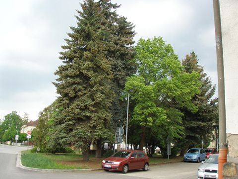 Foto 77